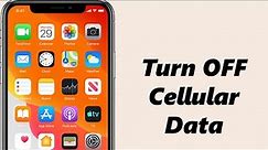 How To Turn OFF Cellular Data (Mobile Data) On iPhone