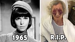 GET SMART (1965–1970) Cast THEN and NOW 🌟 Who Passed Away After 58 Years?