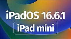 How to Update to iOS 16.6.1 - iPad mini