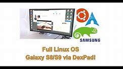 Full Linux OS on Samsung Galaxy S8/S9 - DEX!
