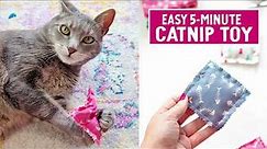 5 Minute Crafts - Easy Catnip Toy