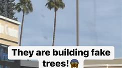 They are making fake trees to spy on us!!! | Digiflips