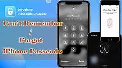 Can’t Remember iPhone Passcode? Forgot iPhone Passcode? Unlocked!