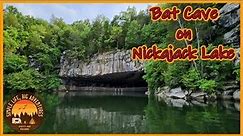 Nickajack Cave: Watch Thousands of Gray Bats Emerge to Feed at Night