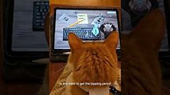 Cats Test Their BUSINESS Video Game