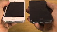 iPhone 5S: White or Black?