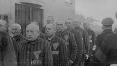 KZ–Sachsenhausen - ein KZ in Deutschland