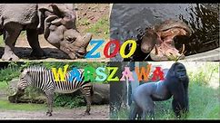 ZOO Warszawa 🐘 🐧 🐟 🐎