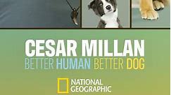 Cesar Millan: Better Human Better Dog: Season 3 Episode 12 Won't You Bite My Neighbor?