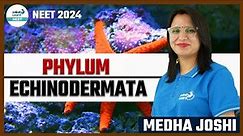 Phylum Echinodermata || #ShortLecture || #NEET2024 Zoology || Medha Joshi || Infinity Learn NEET