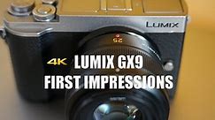 Panasonic Lumix GX9 First Impressions (let's take it on a hike)