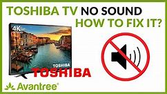 Toshiba TV No Sound (Digital Optical) - How to FIX?