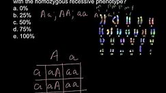 What is outcome of crossing homozygous recessive with heterozygous?