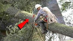 TOP Tree Cutting Fails Compilation & Idiots With Chainsaw ! Dangerous skills