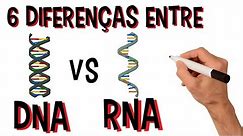 Diferenças entre o DNA e RNA | 6 Principais diferenças | Video Animado