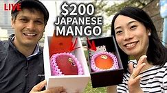 $200 Miyazaki Mango Unboxing and Tasting