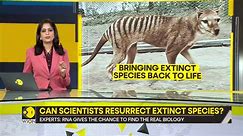 Gravitas: Scientists extract RNA from extinct Tasmanian tiger