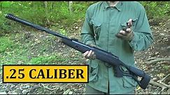 Hatsan AirTact .25 Caliber Pellet Rifle ($125) Review - Budget Friendly Air Gun Series