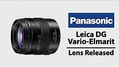 Panasonic Leica DG Vario-Elmarit 12-35mm F2.8 ASPH. POWER O.I.S