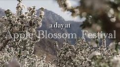 A Day at Apple Blossom Festival - Oak Glen, CA