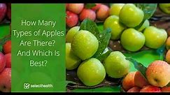 How Many Types of Apples Are There? And Which Is Best?