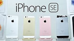 iPhone SE Review!