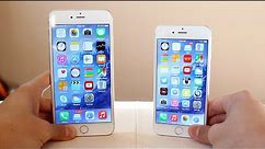 iPhone 6 vs iPhone 6 Plus Comparison