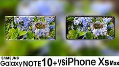 Samsung Galaxy Note 10+ Vs iPhone XS Max Camera Test