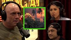 Tulsi Gabbard on the Response to the Maui Wildfires