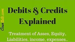 Debit and Credit Explained | Accounting Basics