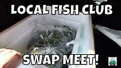 Local Fish Club Swap Meet!