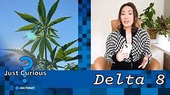 What is delta-8? What to know about 'diet weed' and it's safety. | JUST CURIOUS
