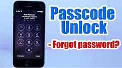 How to Unlock ANY iPhone/iPod Without Knowing the Password