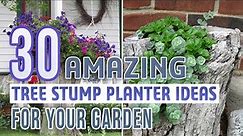 30 Amazing Tree Stump Planter Ideas For Your Garden