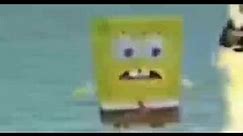 SpongeBob Screaming In Vain Meme Template (Original)