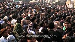 Shia Muslims gather for Taziya possession : Muharram