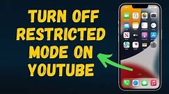 How to turn off restricted mode on YouTube in 2024 (Step by Step)