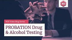Probation Drug and Alcohol Testing (Probation Drug Test Procedures)