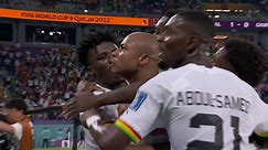 André Ayew égalise pour le Ghana, le stade exulte !