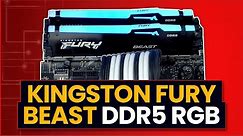 Kingston Fury Beast DDR5 RGB - First Look