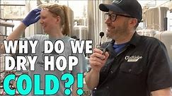 Adam Makes Beer: Pro Brewer Explains How He Avoids Hop Creep