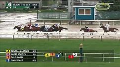 The Champagne Stakes(G1) 2023 - RACE REPLAY