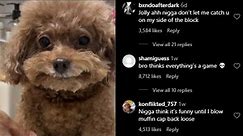 COMMENTS FROM INSTAGRAM REELS ARE INSANE