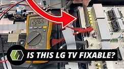 Can We Fix this LG OLED TV? How to Diagnose Your TV Before Ordering Parts!