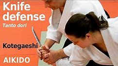 Aikido TANTO DORI, knife defense, chudan tsuki KOTEGAESHI, by Stefan Stenudd