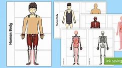Human Body Interactive Visual Aid
