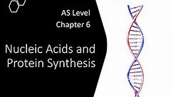 Chapter 6.1a - DNA and RNA Structure | Cambridge A-Level 9700 Biology