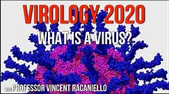 Virology Lectures 2020 #1: What is a Virus?