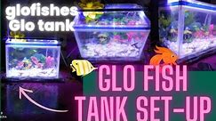Glo fish tank set-up, I built a Glofish tank for home 😀, Simple Glofish tank 🧐