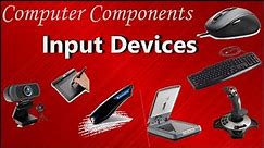 Input Devices of Computer | (Examples and purpose)